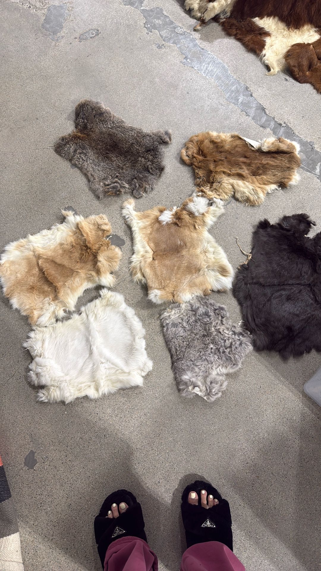 9 REAL GENUINE RABBIT FURS