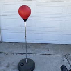 Punching Bag
