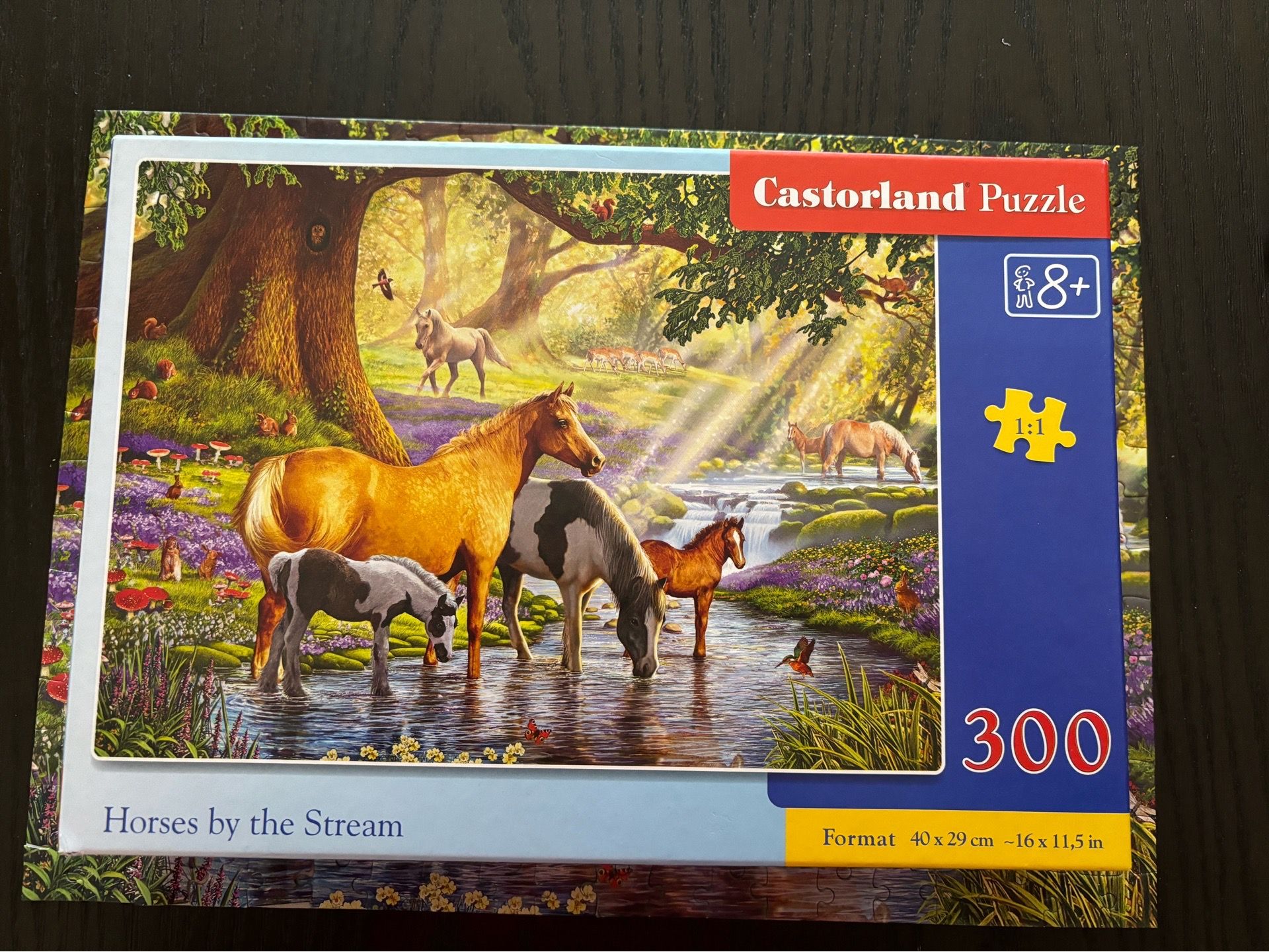 Castorland brand Puzzle Horses 300 Pieces