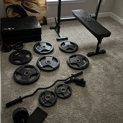 Gym Set/Bench