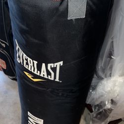 Everlasting Punching Bag