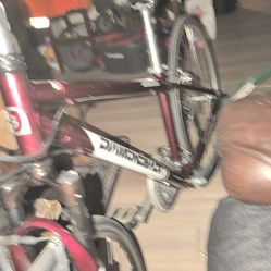 Marvista Diamondback speed bike