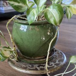 Vintage 11" Brass Rolling Casters Wheels Dolly Floor Protector Plant Stand