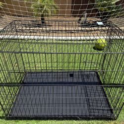dog kennel