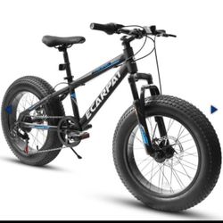 Adult Fat Tire Mountain Bike, 20 Inch, A20316 orange & grey