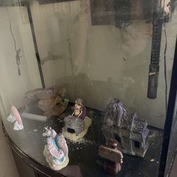 Fish Tank 60 Gallons 