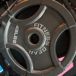 45 Pound Plate (single)