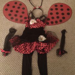 Halloween- Lady Bug Costume