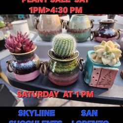 PLANT SALE SATURDAY FROM 1PM TO 430 IN SAN LORENZO $4 TO $29
