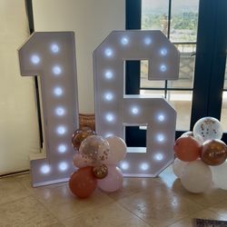 4 ft Marquee numbers (16)
