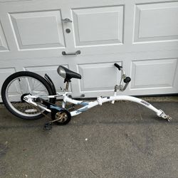 Co-Pilot 20 Inch Bike Trailer 