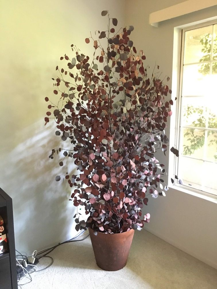 Fake red plant