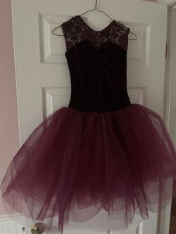 Ballerina / Fairy Costume 