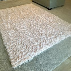 Pink Shag Rug