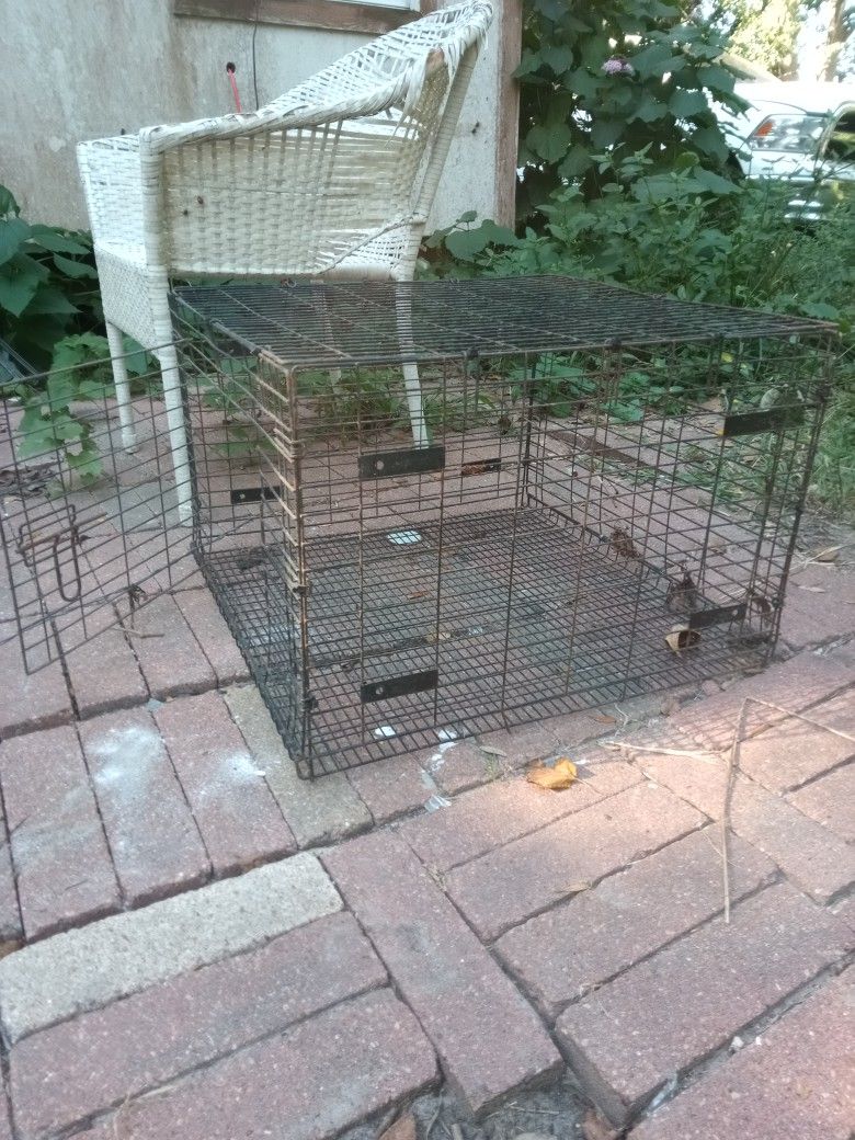 Reptile,Bird,Or Rabbit Cage 