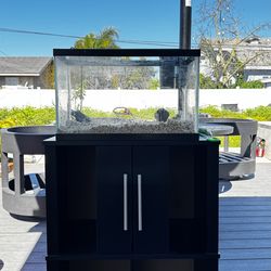 10 Gallon Fish Tank Aquarium