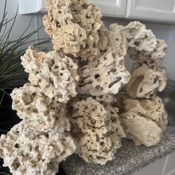 Aquarium Coral 