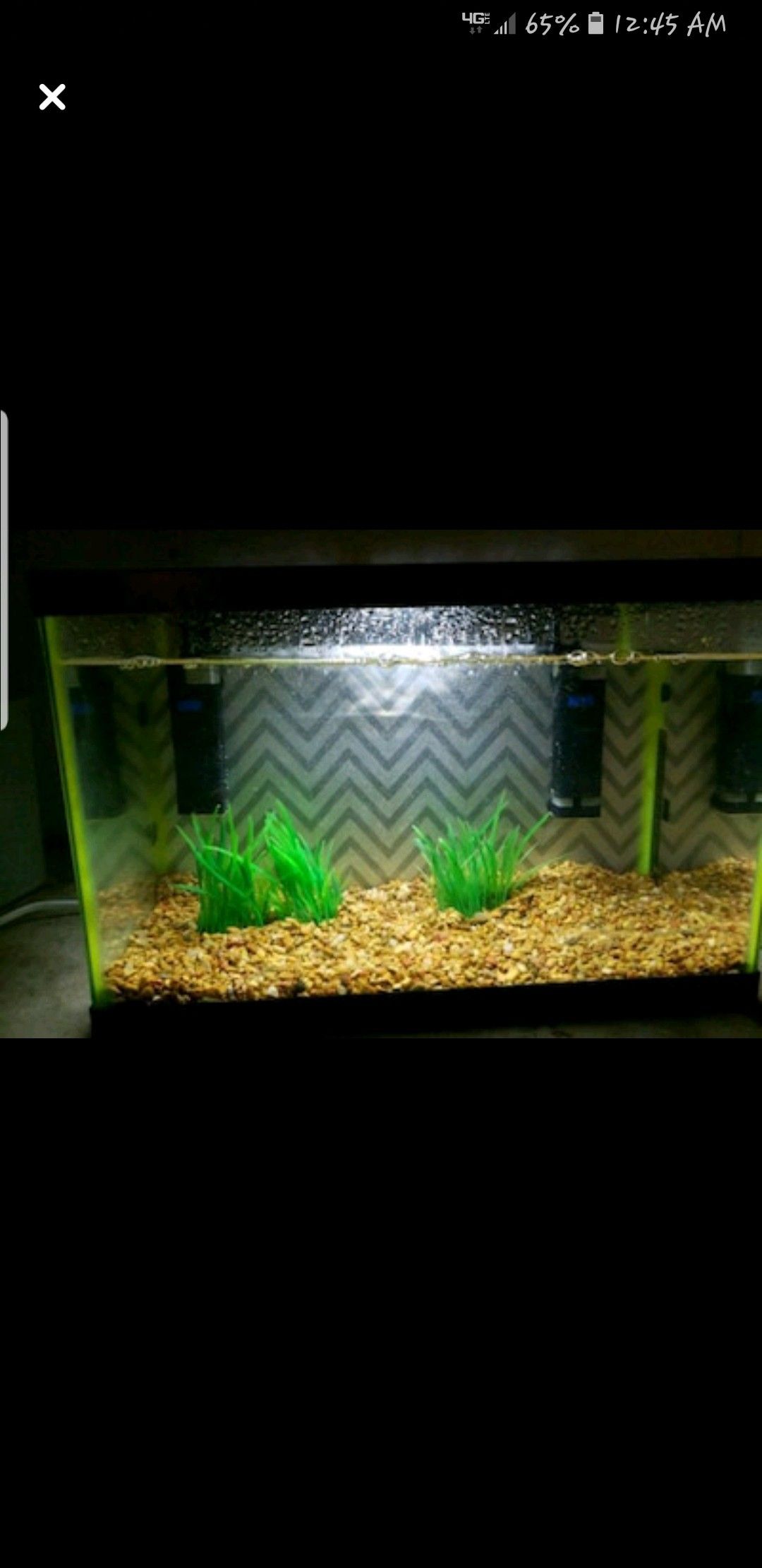 5 gal tank