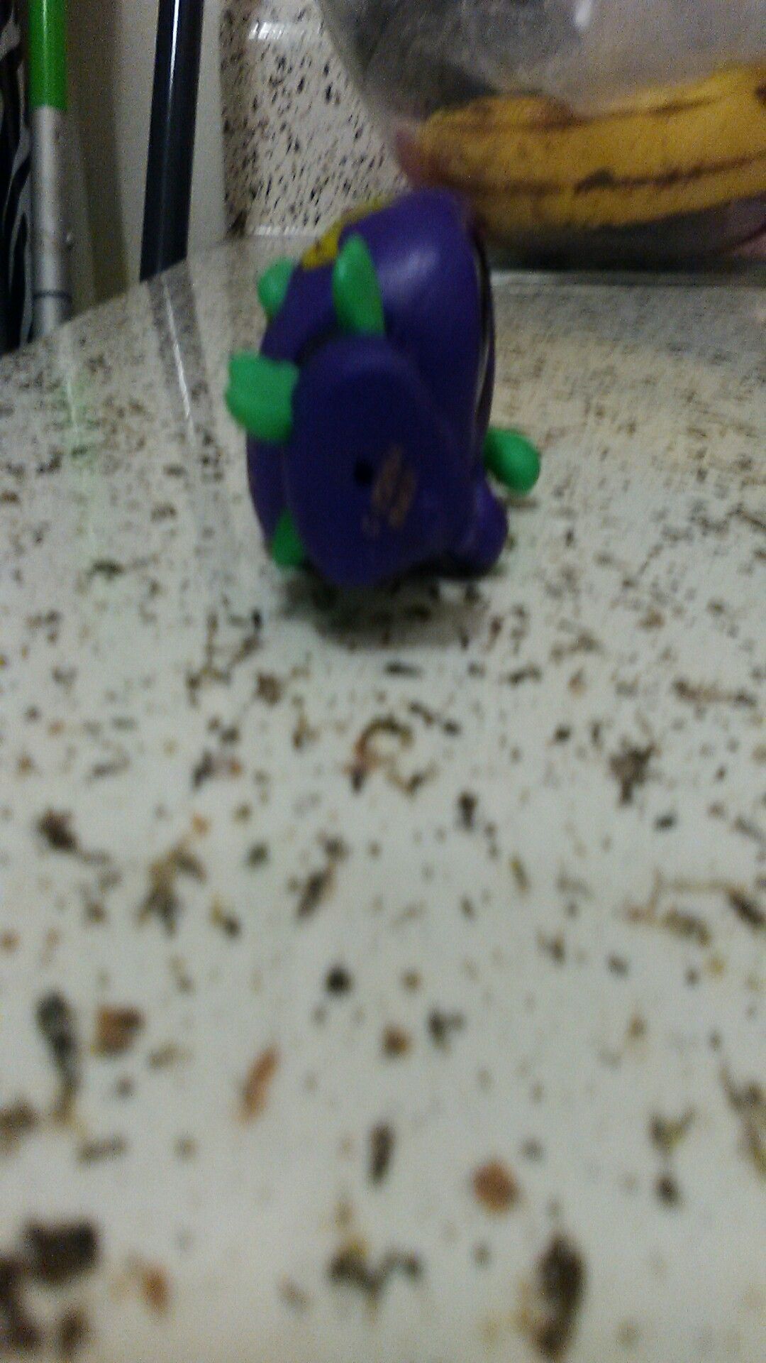 Lps Hasbro used