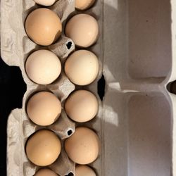 Fresh Farm eggs