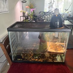 Turtle terrariums aquarium set up
