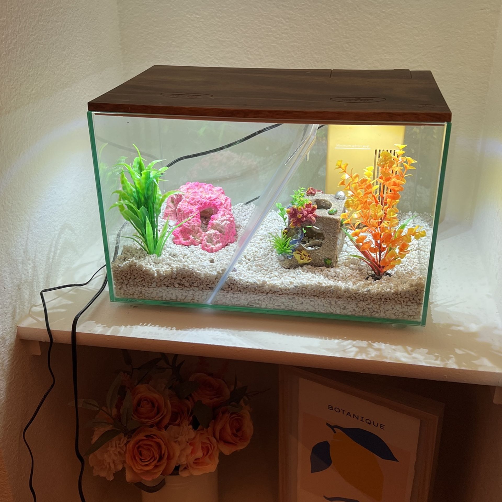 10 Gallon Fish Tank
