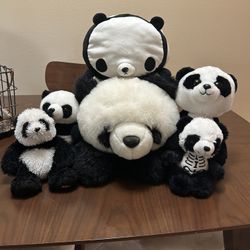 Panda Plushies (sold All Together) 