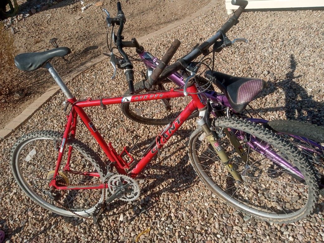 Giant Bike Mongoose Bike25