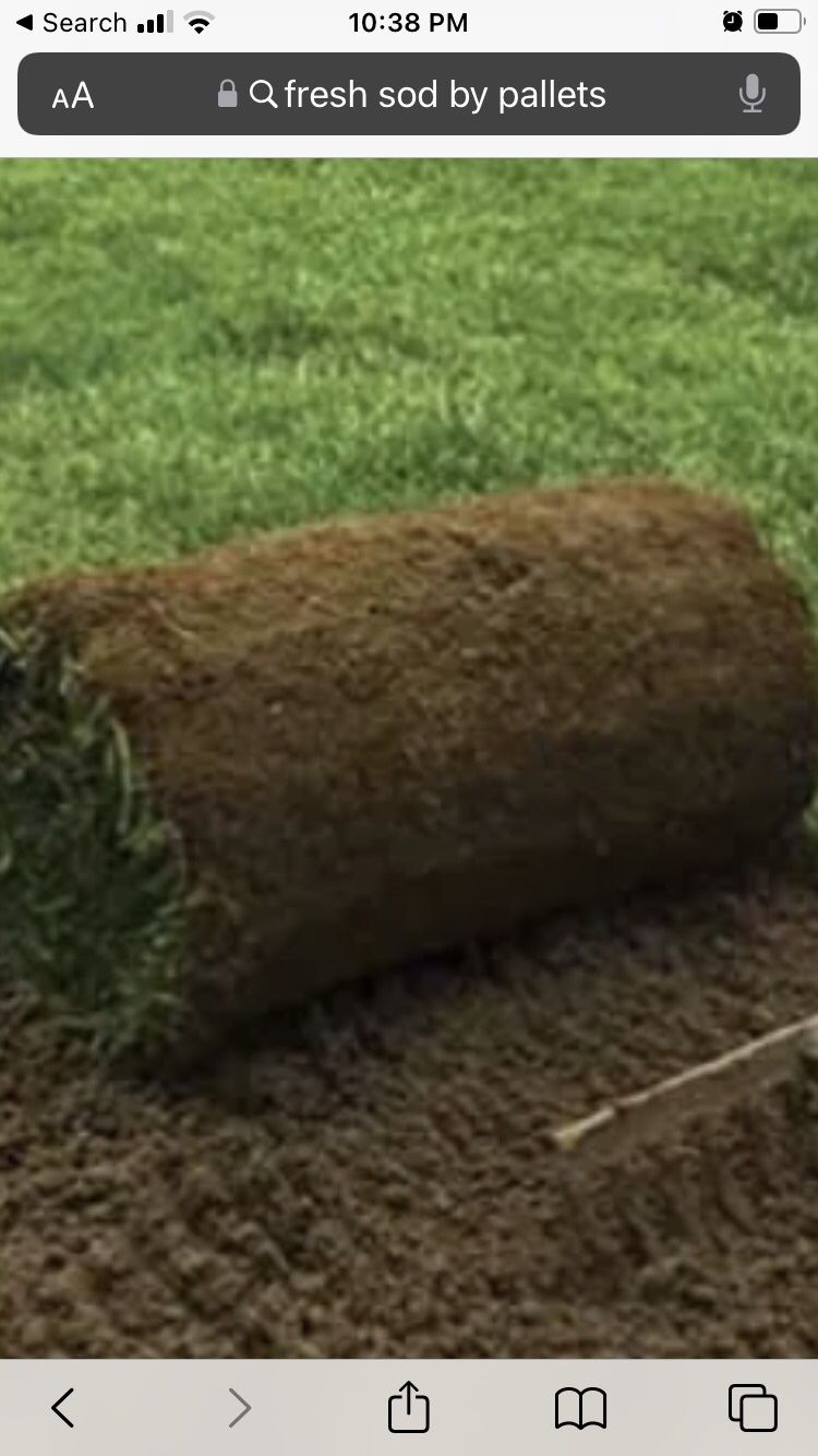 Fresh Sod