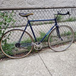 Tall Frame Electric Blue Schwinn Singlespeed Road Bike W Bullhorn 