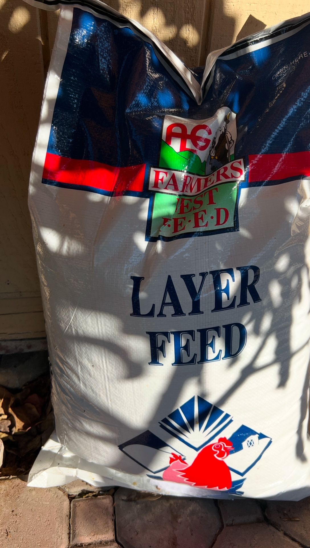 Chicken Feed