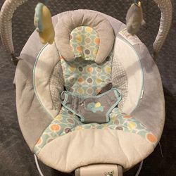 Ingenuity Soothing Baby Bouncer 