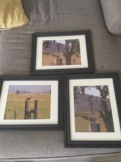 3 Matted and Framed Photographs