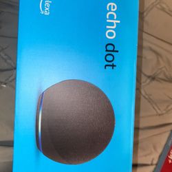 Echo Dot