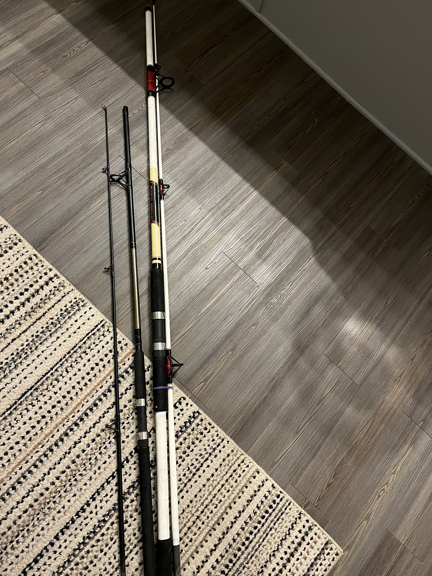 Surf Fishing Rods
