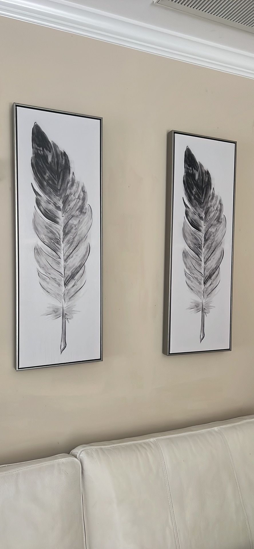 (2) Beautiful feather Decorative Wall Art Pieces
