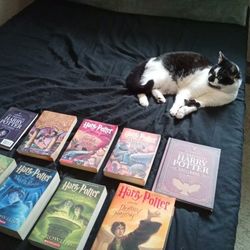 Harry Potter Book Series