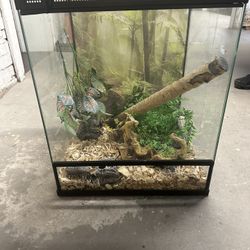 Reptile enclosure, and fish tank