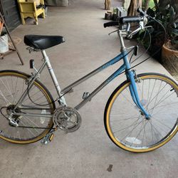 Vintage Landis 12-speed Bike 