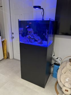 Fish Tank HelloReefer Saltwater Aquarium Fishtank 33 Gallons