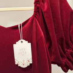Ivy City Enamored Dress in Red Velvet 