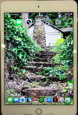Apple iPad Mini 5 64GB Cellular Unlocked + Pencil