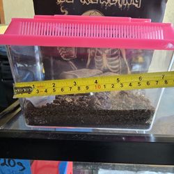 Little terrariums for tiny pets. Take one.
For the price?
On the description or take them All for the price of $36.