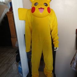 Pikachu Costume