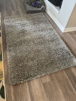 Shag Area Rug