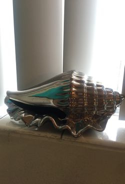 Silver seashell
