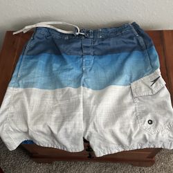 🏖️ Men’s Size Large Swim Shorts – Multi-Blue Ocean-Inspired Design