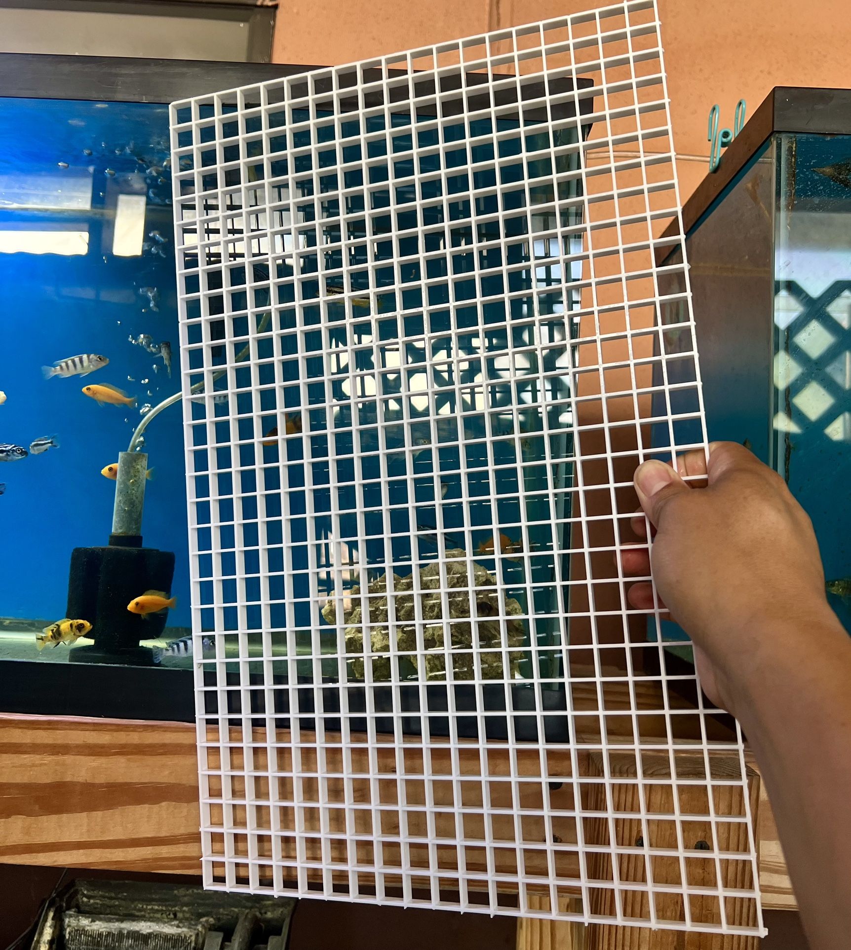 Fishtank Dividers 