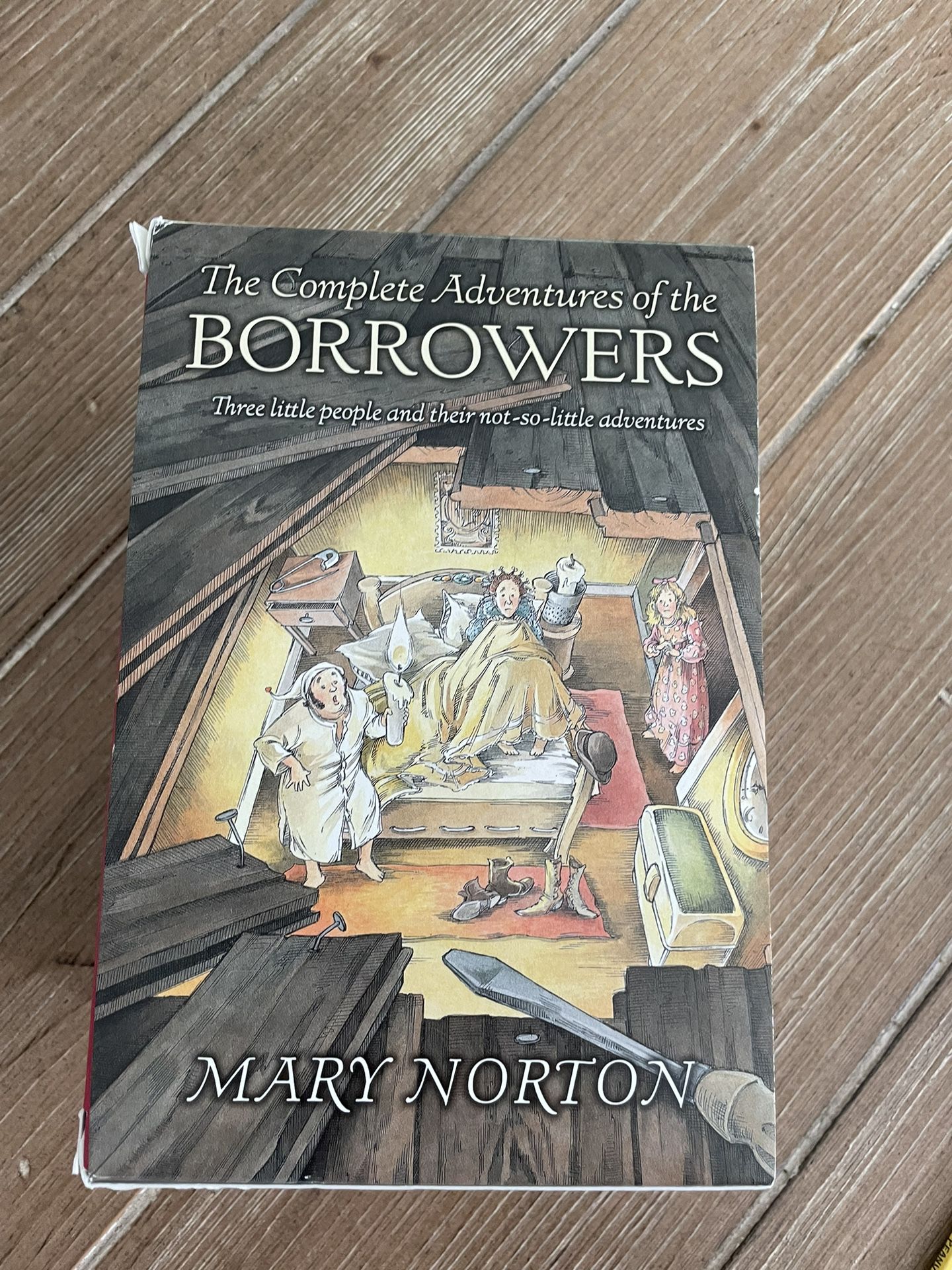 The borrowers book Set