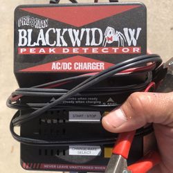 Black Widow Charger 40$ Pro Max 